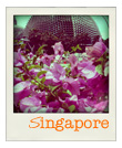 Explore The Trail through Singapore Travelling in Singapore