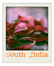 Explore The Trail through Southern India Travelling in Southern India