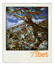 Explore The Trail through Tibet Travelling in Tibet