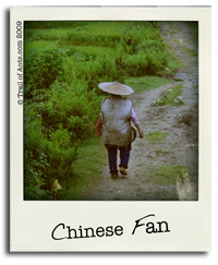 Chinese Fan