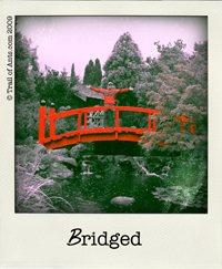 setas_bridge