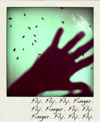 toa_fs_flyfngrfly